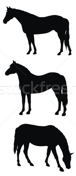Cavalli abstract cavallo silhouette Foto d'archivio © oorka