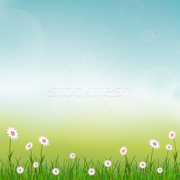 spring background Stock photo © opicobello