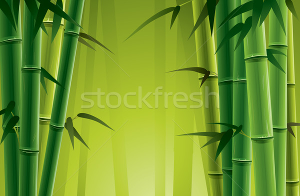 Bambus Hain frischen Stock foto © ori-artiste