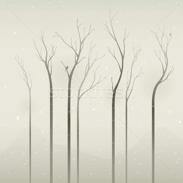 silent winter Stock photo © ori-artiste