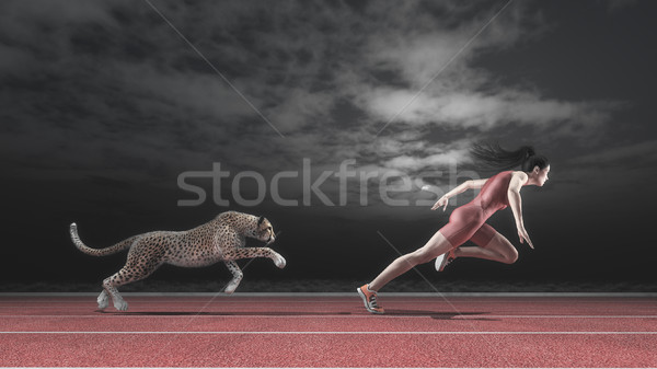 Nacht Ausbildung Athleten Frau Geparden läuft Stock foto © orla
