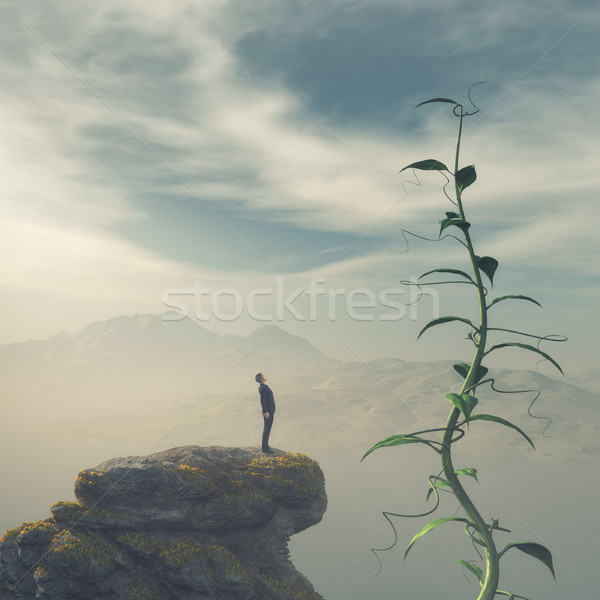 Man on the edge of a cliff Stock photo © orla