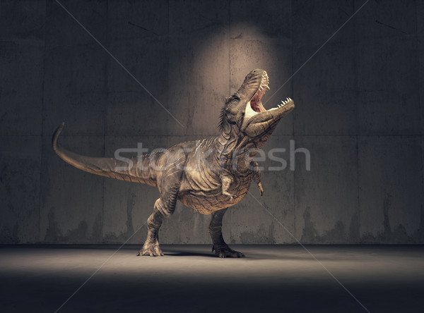 Dinosaur Stock photo © orla