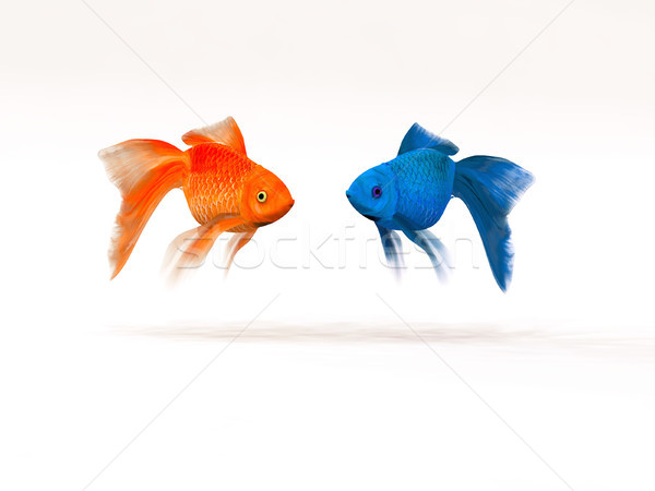 Two goldfish differently.  Stock photo © orla