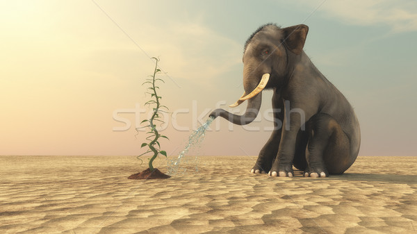 Elephant with a beanstalk Stock photo © orla