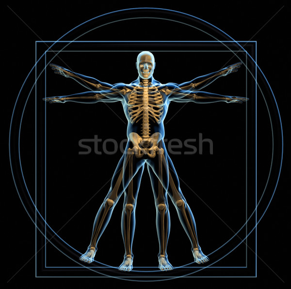 Foto stock: Homem · corpo · esqueleto · 3d · render · papel · fundo