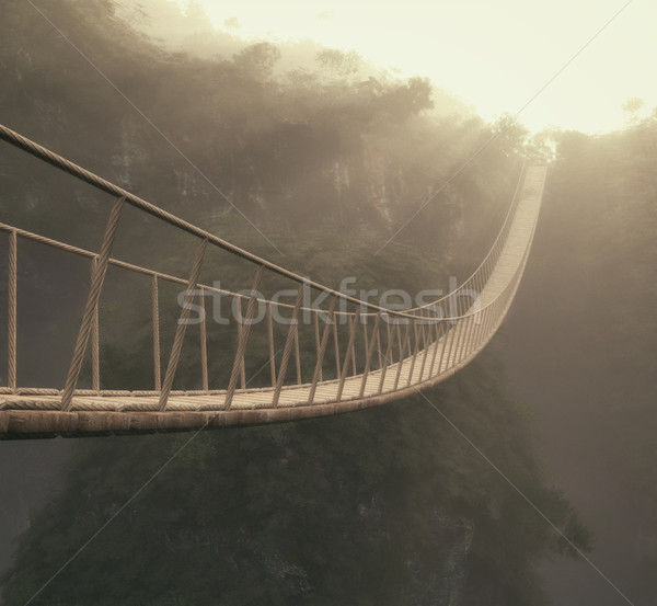 A rope bridge over a trees Stock photo © orla