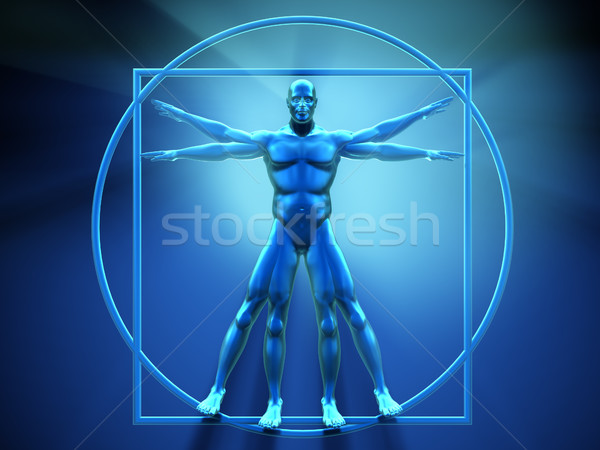 Vitruvian man  Stock photo © orla