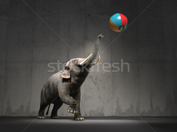 Elefánt strandlabda 3d render illusztráció labda Stock fotó © orla