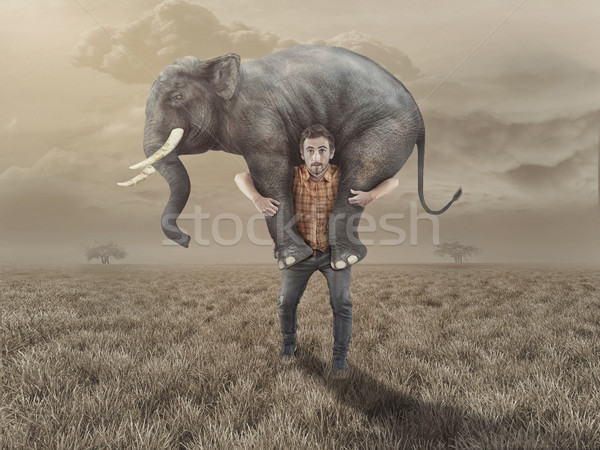 Człowiek słoń powrót dziedzinie krajobraz wsparcia Zdjęcia stock © orla