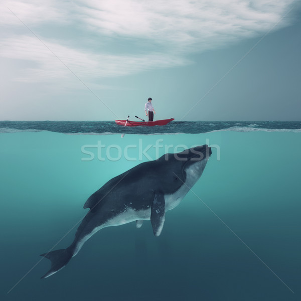 [[stock_photo]]: Baleine · homme · bateau · au-dessus · énorme