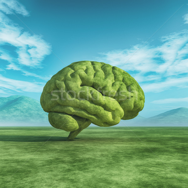 Foto stock: Imagen · grande · árbol · forma · cerebro · humano · verde