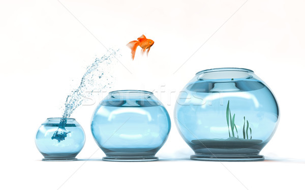 [[stock_photo]]: Sautant · niveau · Goldfish · plus · bol · aspiration