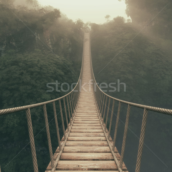 Corda ponte suspenso montanhas 3d render ilustração Foto stock © orla