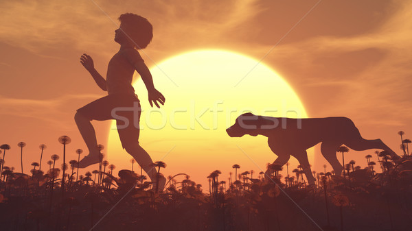 Stockfoto: Kind · hond · veld · zonsondergang · silhouet · lopen