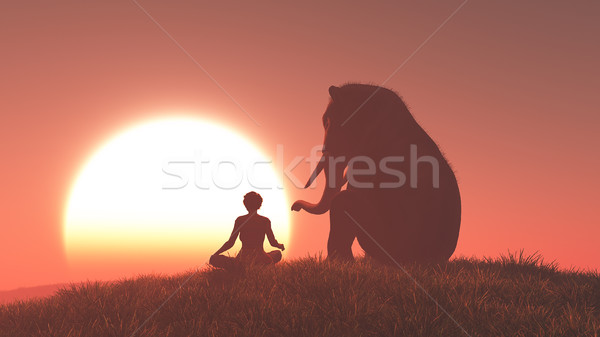 Sillouthe elephant and woman Stock photo © orla