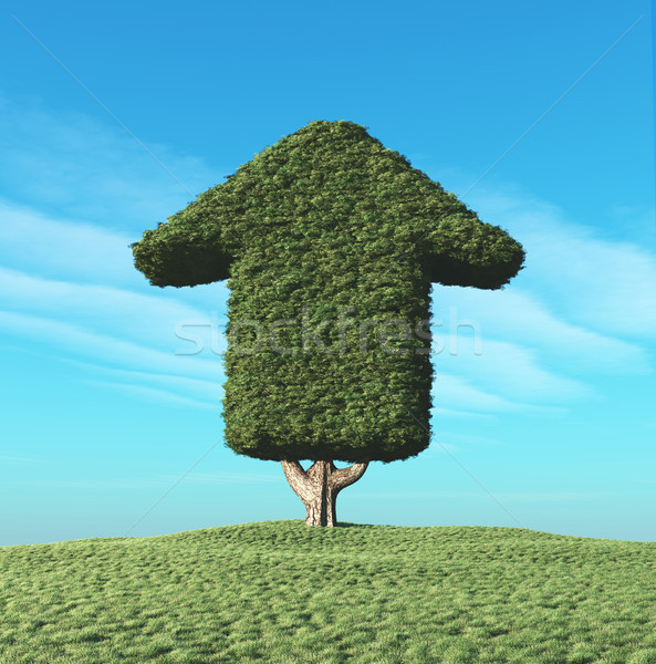 A green tree in the shape of an arrow Stock photo © orla