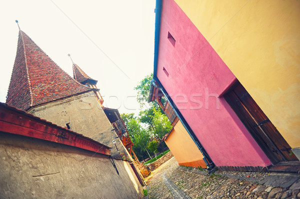 Small street paved Stock photo © orla