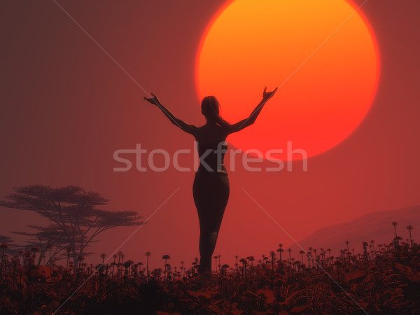 Silhueta menina campo pôr do sol 3d render ilustração Foto stock © orla