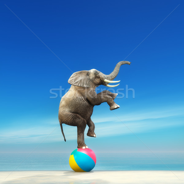 Elefánt strandlabda 3d render illusztráció tengerpart természet Stock fotó © orla