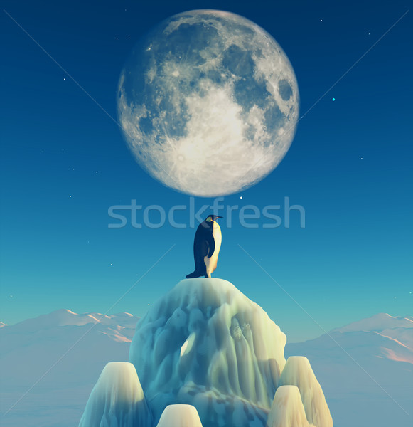 Stock photo: Penguin 