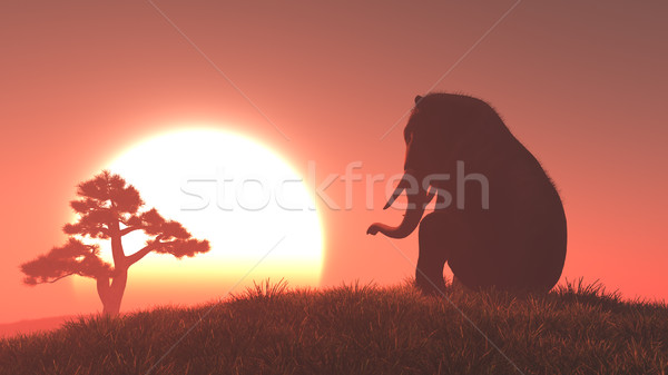 Silhouette of elephant and tree  Stock photo © orla