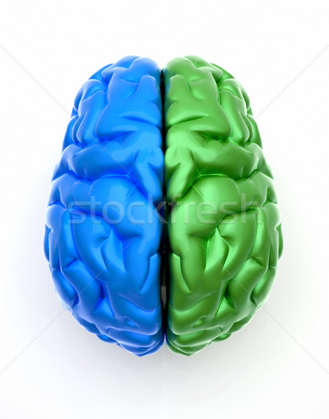 Niebieski koniec zielone mózgu obraz biały Zdjęcia stock © orla
