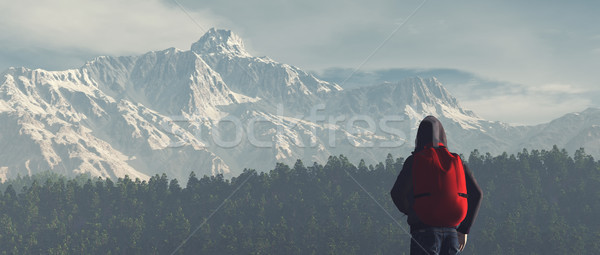 Young man up the mountain  Stock photo © orla