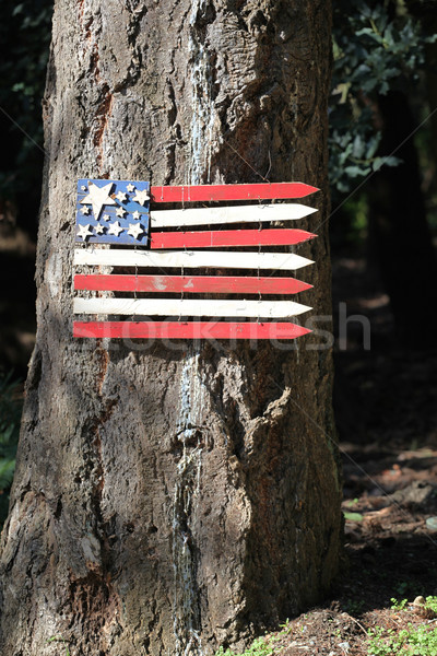 Legno USA bandiera simbolo albero fuori Foto d'archivio © oscarcwilliams