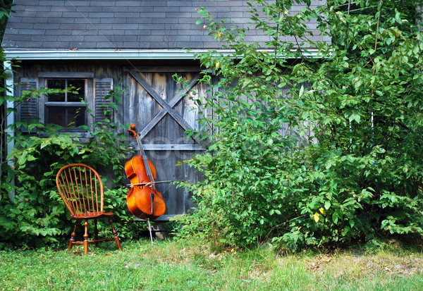 Cello pie práctica habitación Foto stock © oscarcwilliams