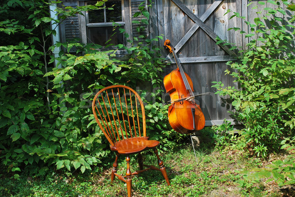 Cello pie práctica habitación arco instrumento Foto stock © oscarcwilliams