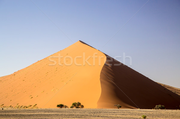 Huge red dune Stock photo © ottoduplessis