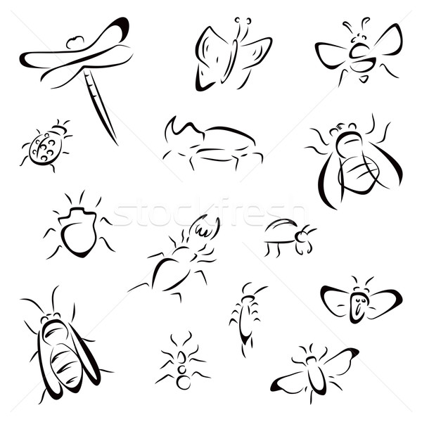Set of bugs Stock photo © oxygen64