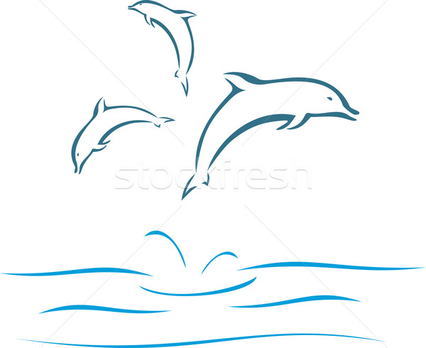 Dolphins  Stock photo © oxygen64