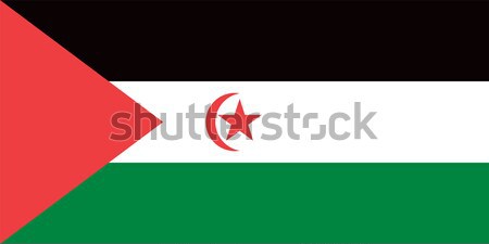 Occidentale sahara bandiera vettore Foto d'archivio © oxygen64