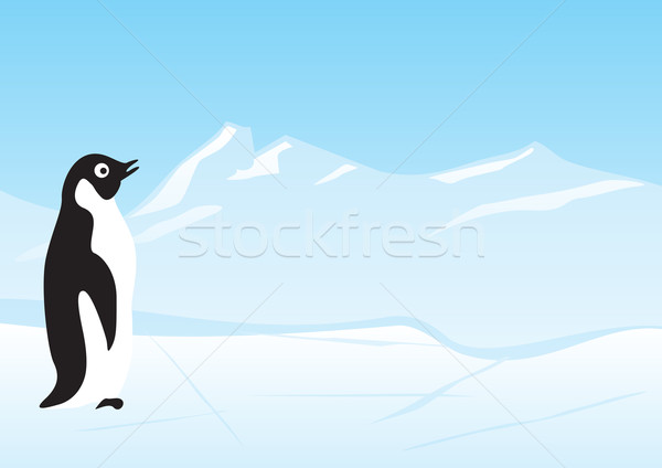 Penguin Stock photo © oxygen64