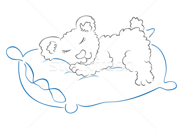Oyuncak uyku örnek tatlı ayı yastık Stok fotoğraf © oxygen64