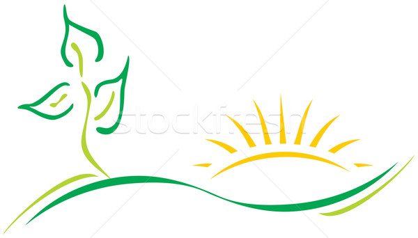 Ecologia logotipo modelo folha sol árvore Foto stock © oxygen64