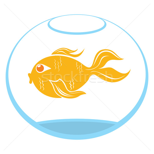 Peixe-dourado símbolo tigela isolado branco água Foto stock © oxygen64
