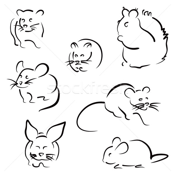 Set of rodents Stock photo © oxygen64