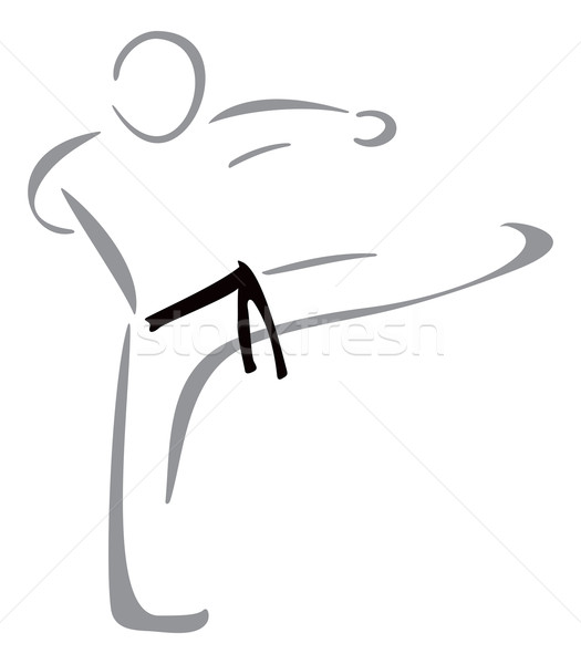 каратэ истребитель борьбе спорт символ изолированный Сток-фото © oxygen64