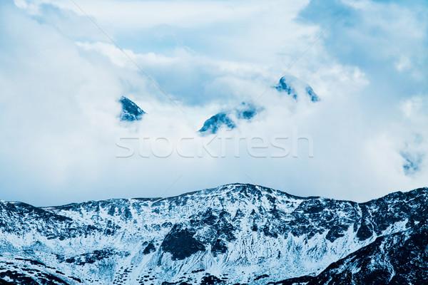 山 冬 風景 緑 晴れた 木 ストックフォト © pab_map