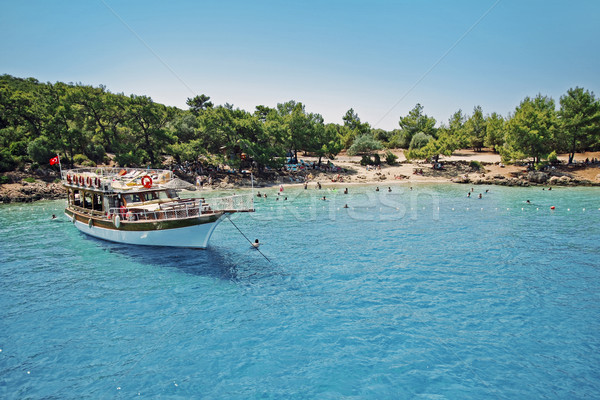 Tropical paradise island Stock photo © pab_map