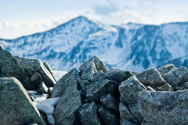 Berg Winter Landschaft grünen sonnig Bäume Stock foto © pab_map