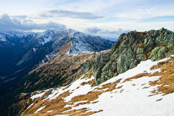 горные зима пейзаж зеленый Солнечный деревья Сток-фото © pab_map