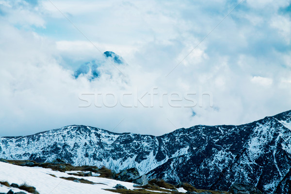 山 冬 風景 緑 晴れた 木 ストックフォト © pab_map