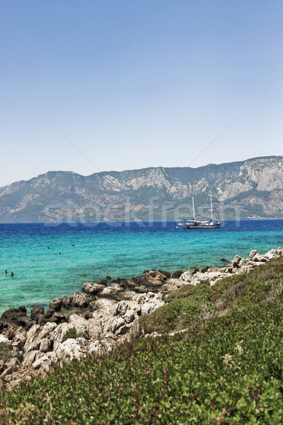 Tropical paradise island Stock photo © pab_map