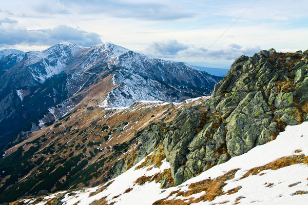 горные зима пейзаж зеленый Солнечный деревья Сток-фото © pab_map