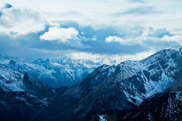 Stockfoto: Berg · winter · landschap · groene · zonnige · bomen