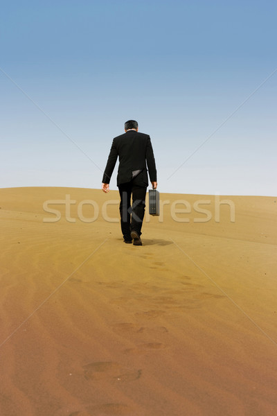 Сток-фото: деловой · человек · портфель · ходьбе · только · пустыне · небе